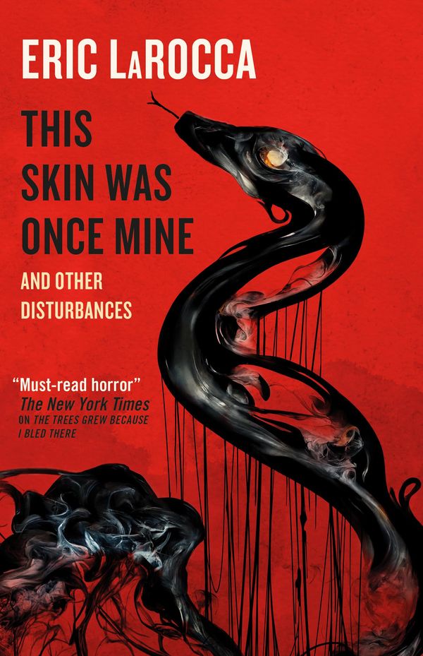 This Skin Was Once Mine and Other Disturbances Book Cover