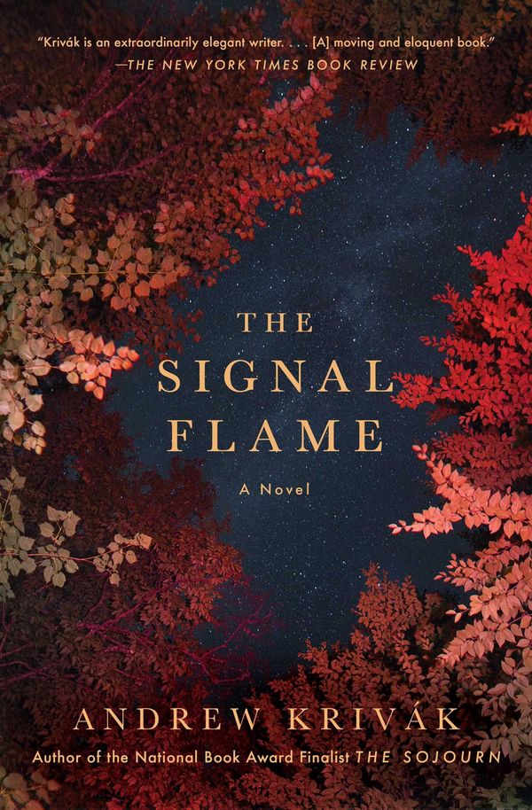The Signal Flame cover