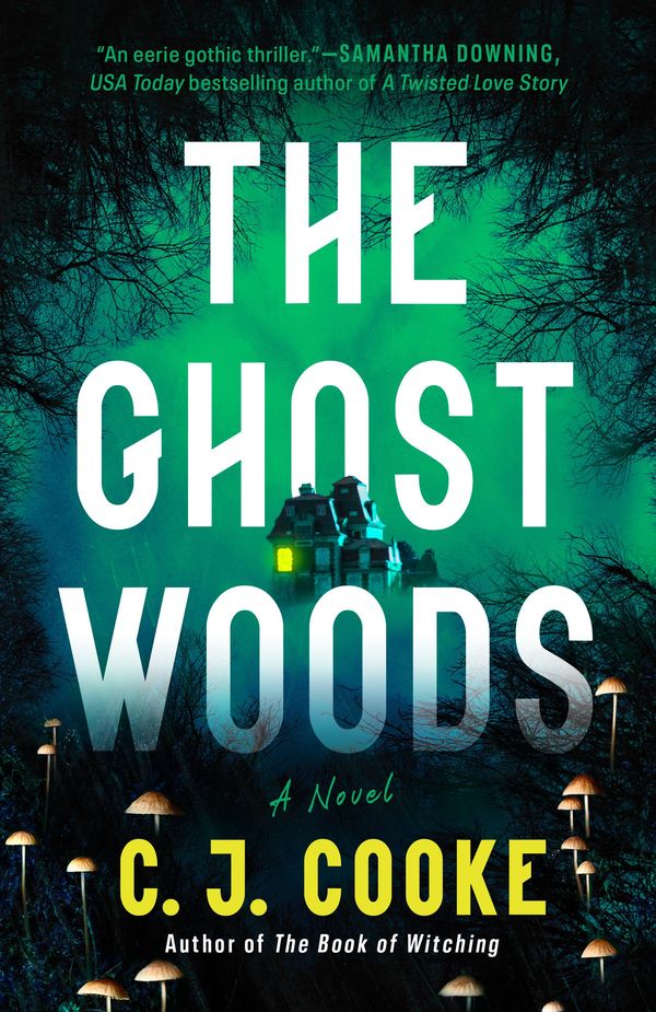 The Ghost Woods Book Cover