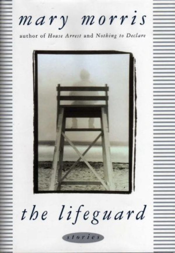 The Lifeguard Book Cover