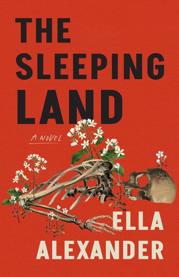The Sleeping Land Book Cover