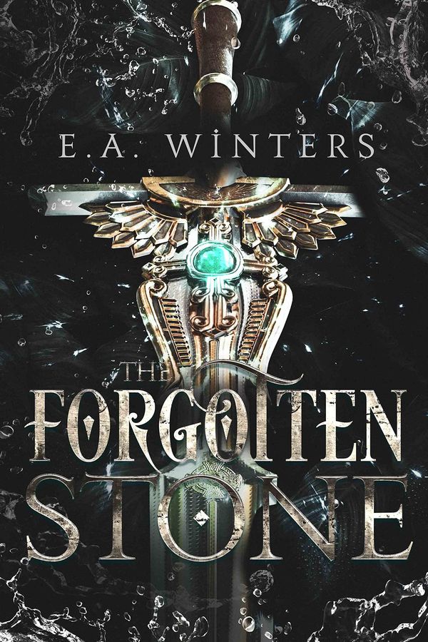 The Forgotten Stone Book Cover