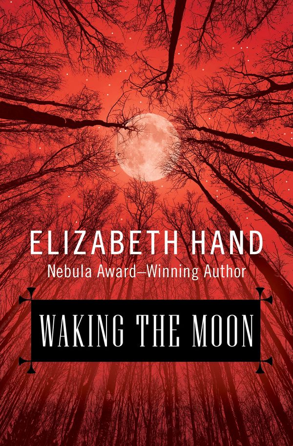 Waking the Moon Book Cover