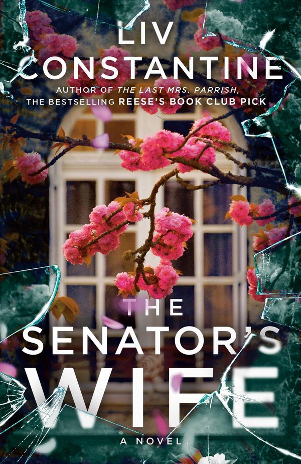 The Senator's Wife Book Cover
