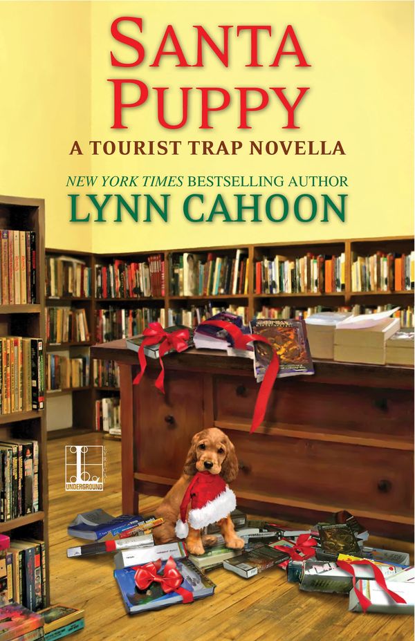 Santa Puppy Book Cover