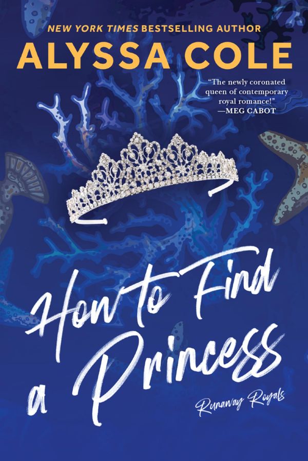 How to Find a Princess cover