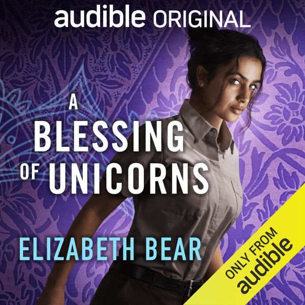 A Blessing of Unicorns cover