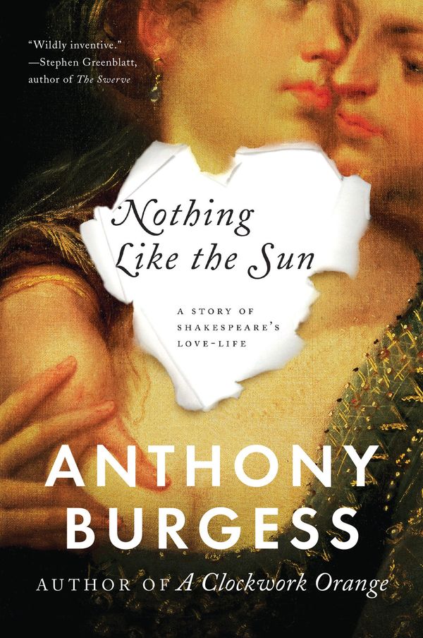 Nothing Like the Sun Book Cover