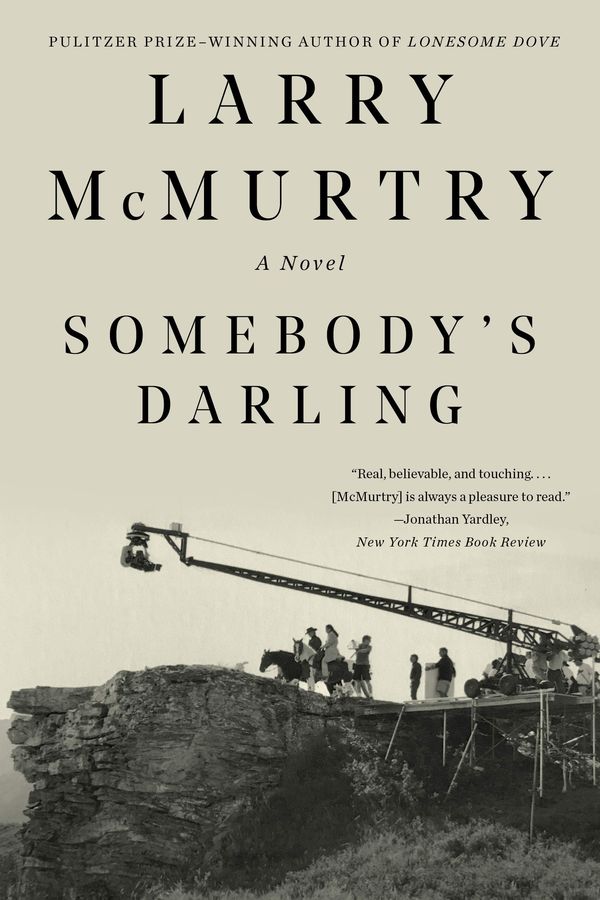 Somebody's Darling Book Cover