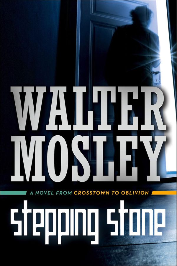 Stepping Stone Book Cover