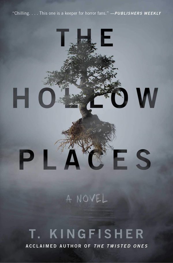 The Hollow Places Book Cover