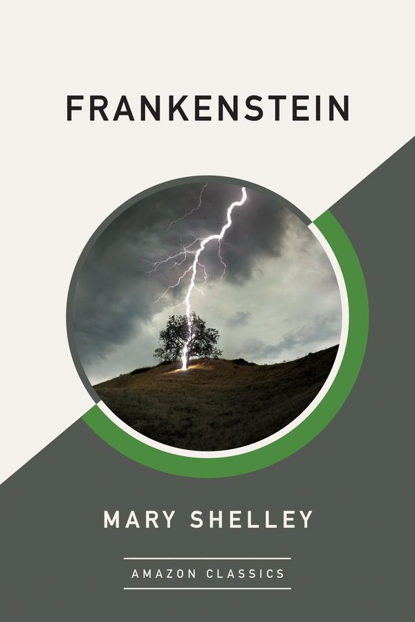 Frankenstein Book Cover