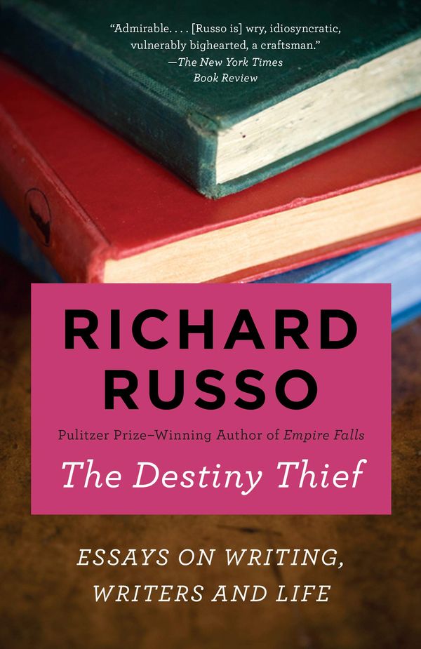 The Destiny Thief Book Cover