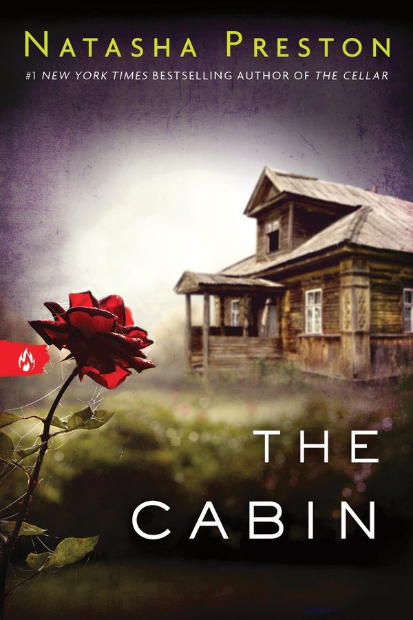 The Cabin Book Cover