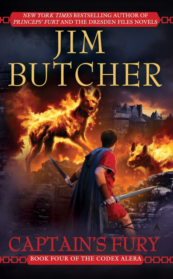 Captain's Fury Book Cover