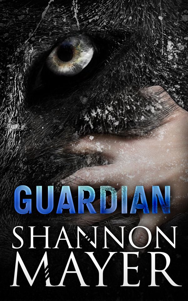 Guardian: Book 6.5 Book Cover