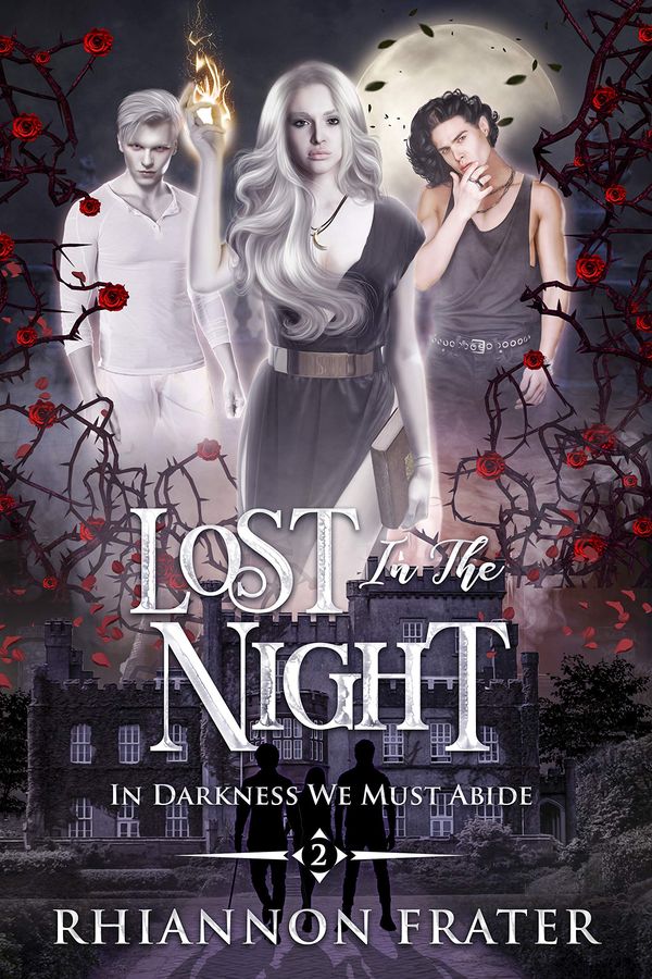 Lost in the Night cover