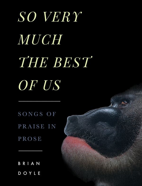 So Very Much the Best of Us Book Cover