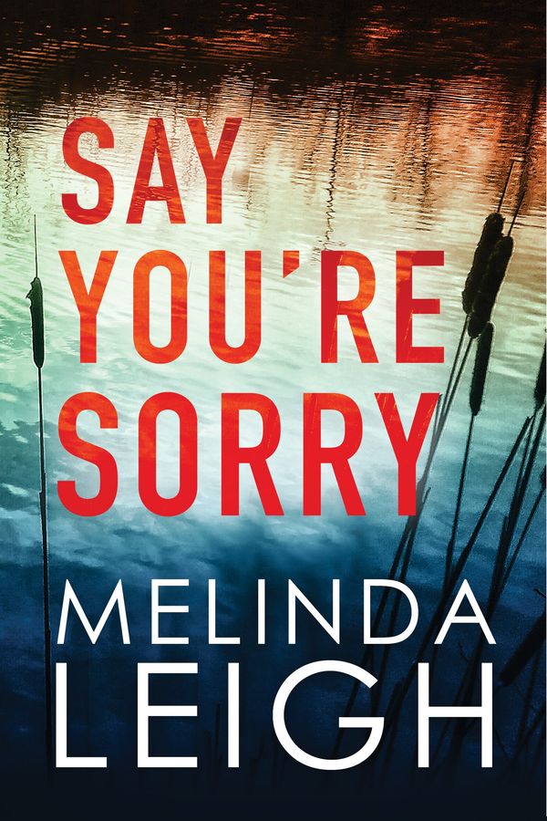 Say You're Sorry cover