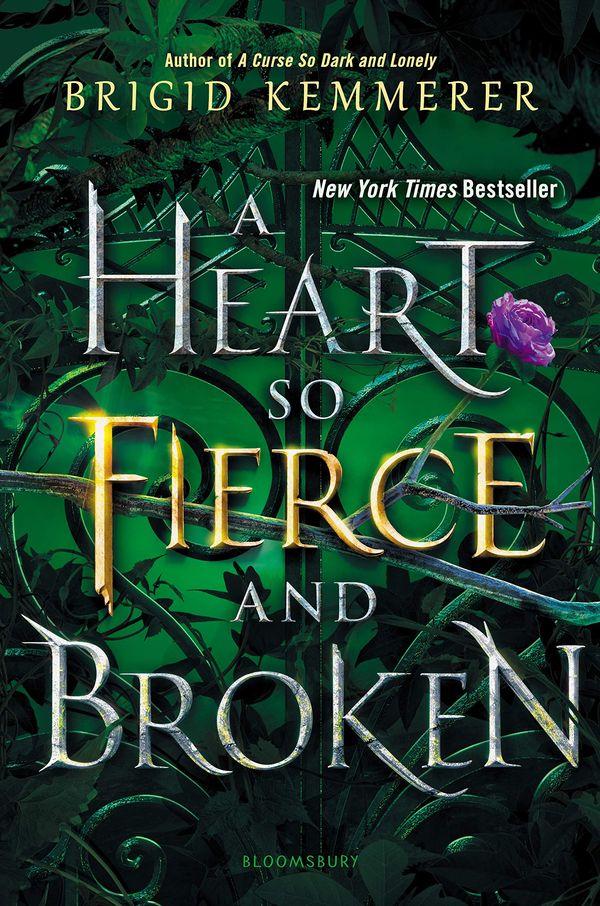 A Heart So Fierce and Broken Book Cover