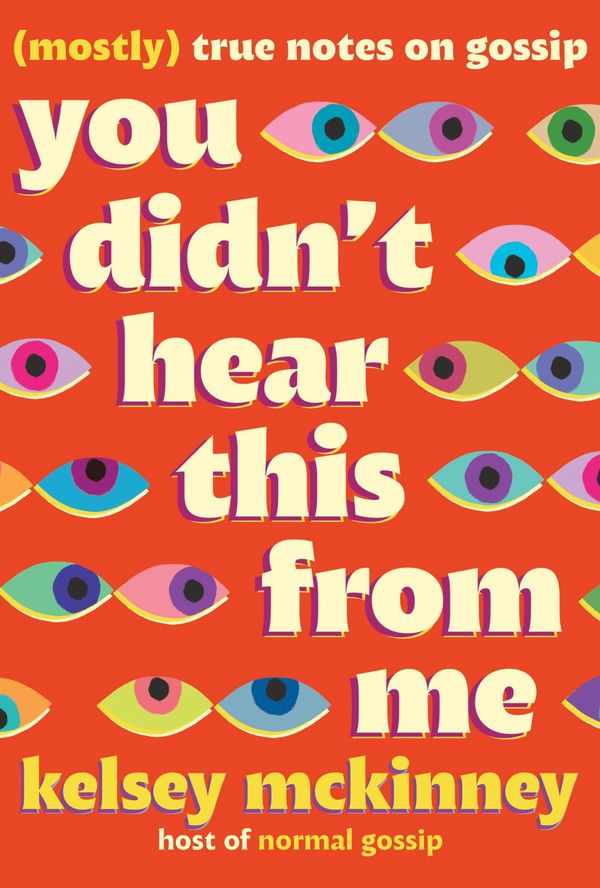 You Didn't Hear This From Me Book Cover