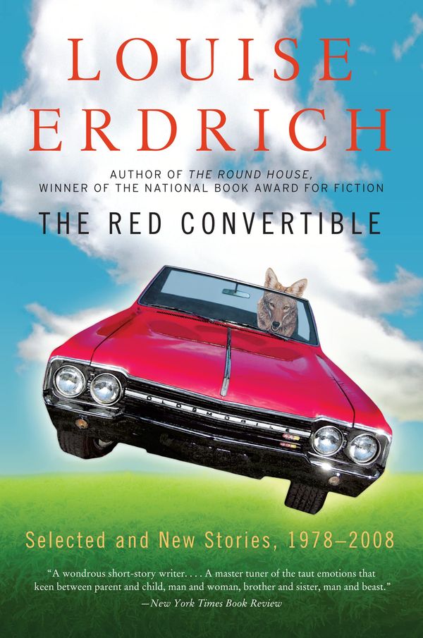 The Red Convertible Book Cover