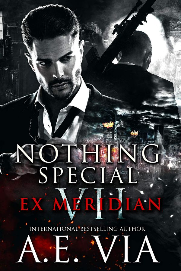 Nothing Special VII Book Cover