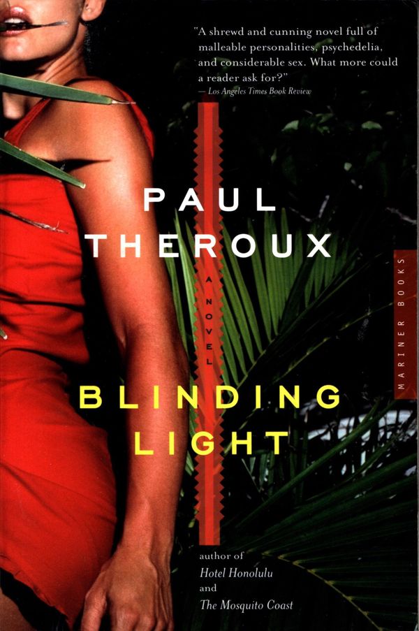 Blinding Light Book Cover