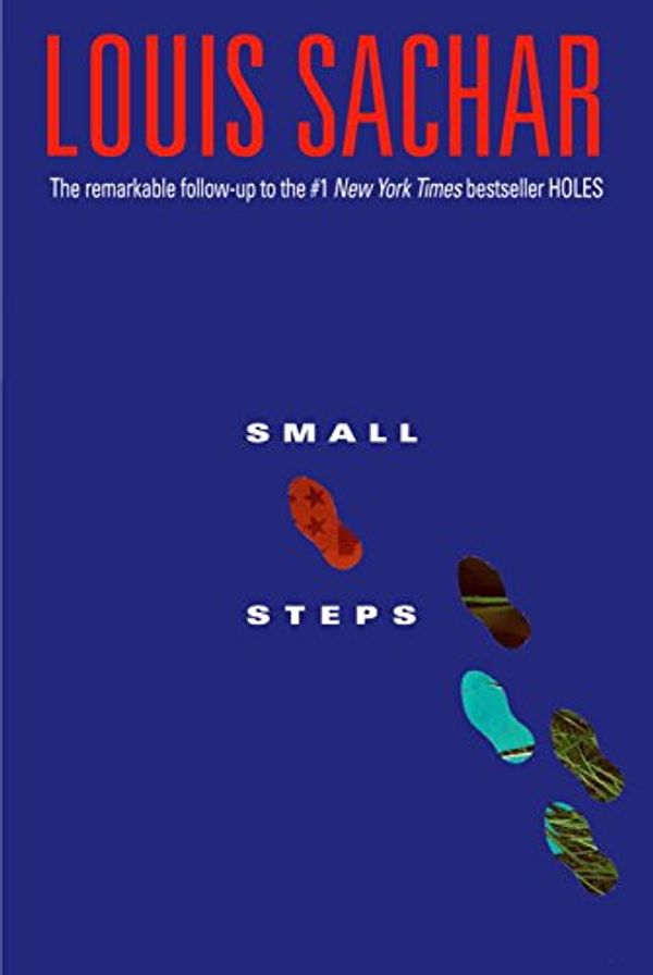 Small Steps cover
