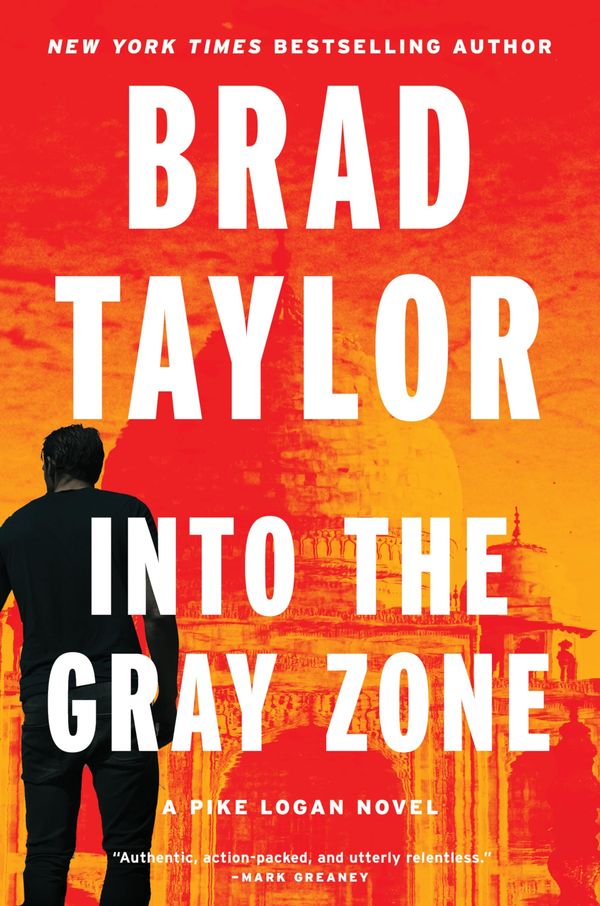 Into the Gray Zone Book Cover