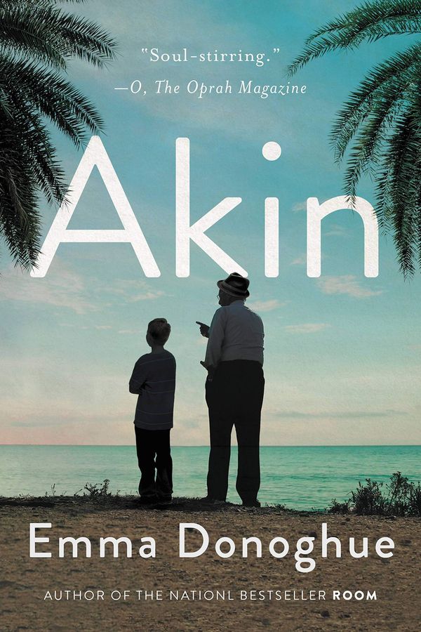 Akin Book Cover