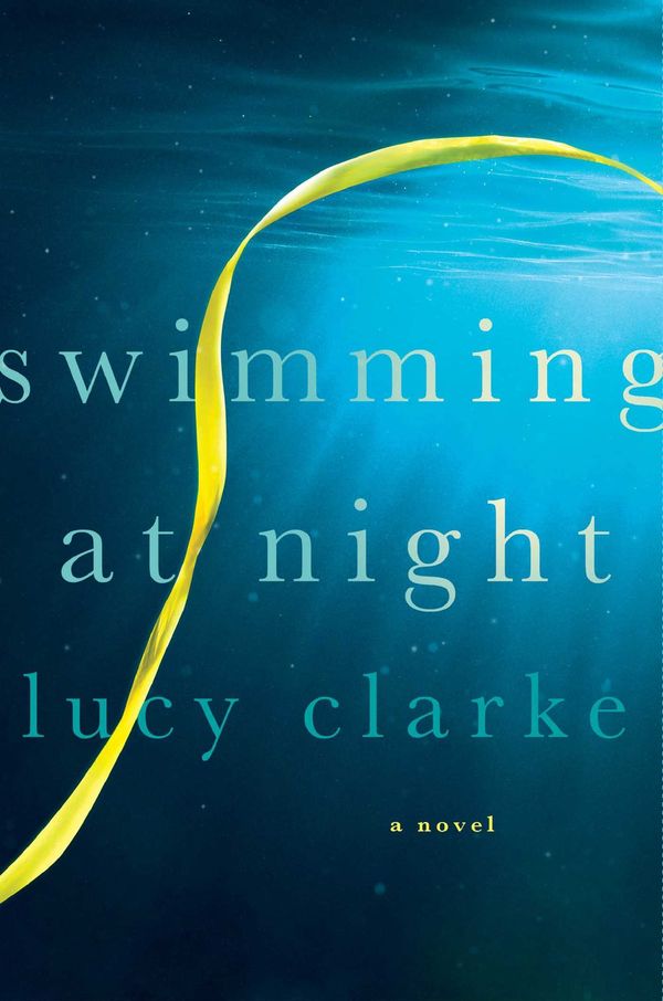Swimming at Night Book Cover