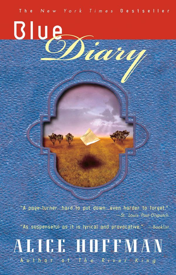 Blue Diary Book Cover