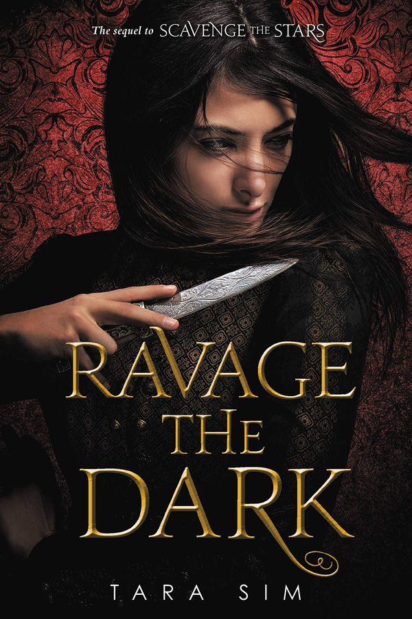 Ravage the Dark cover