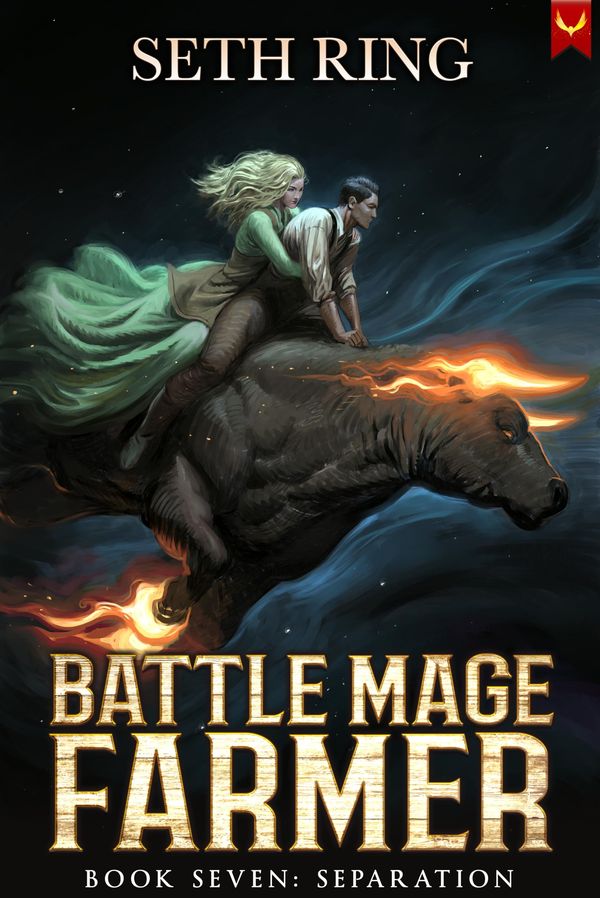 Separation Book Cover