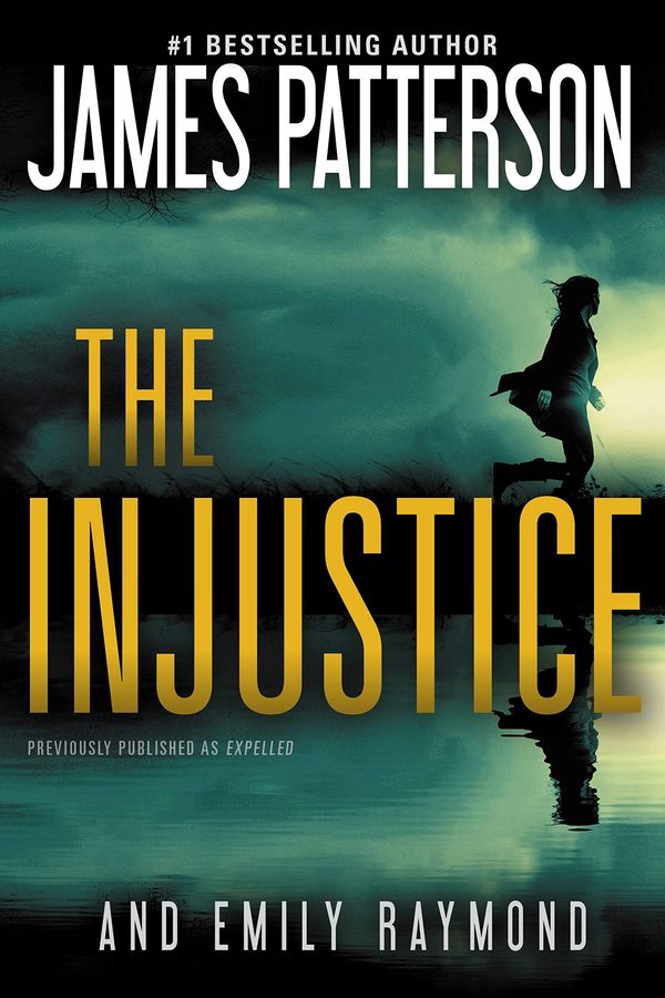 The Injustice Book Cover
