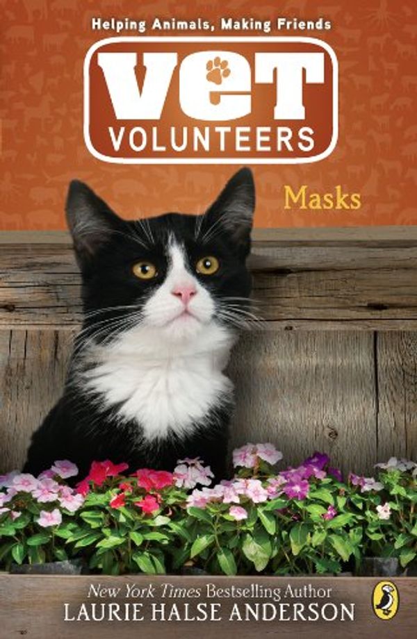 Masks Book Cover