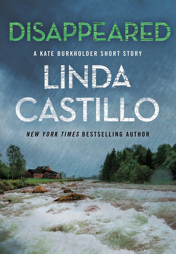 Disappeared Book Cover