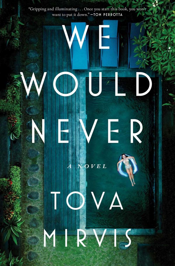 We Would Never Book Cover
