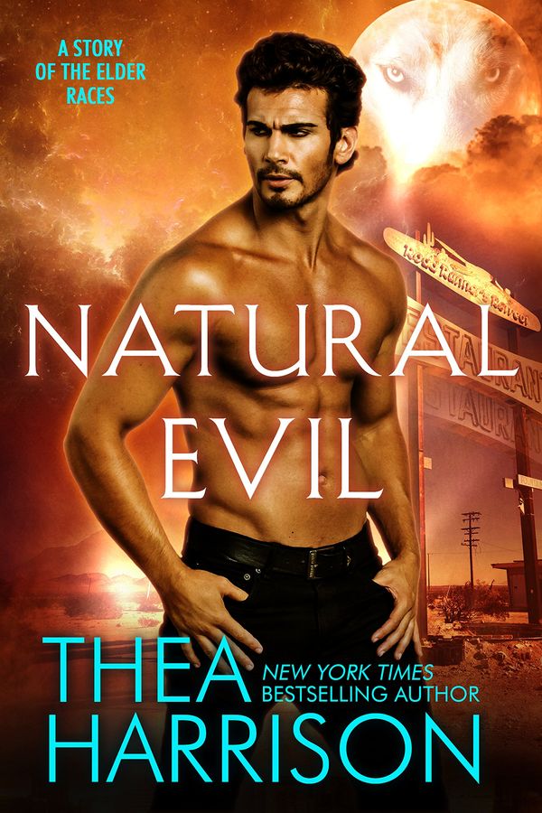 Natural Evil Book Cover
