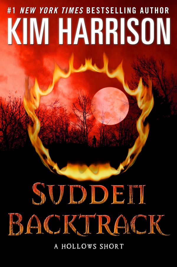 Sudden Backtrack Book Cover