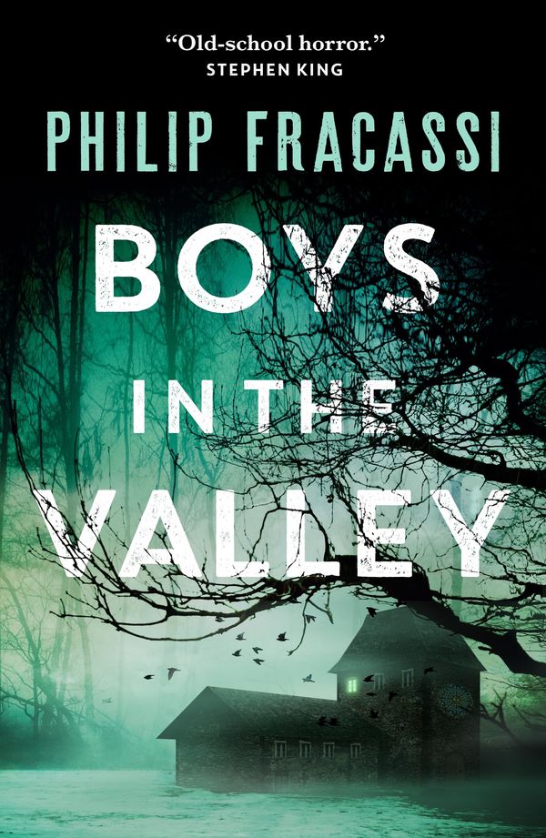Boys in the Valley Book Cover