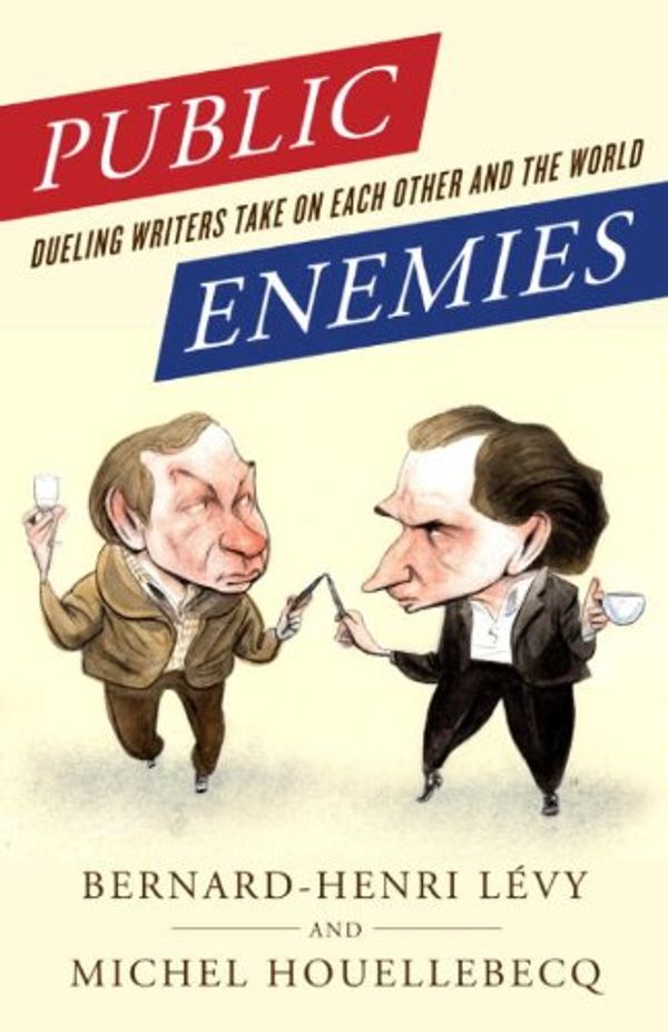 Public Enemies: Dueling Writers Take On Each Other and the World Book Cover