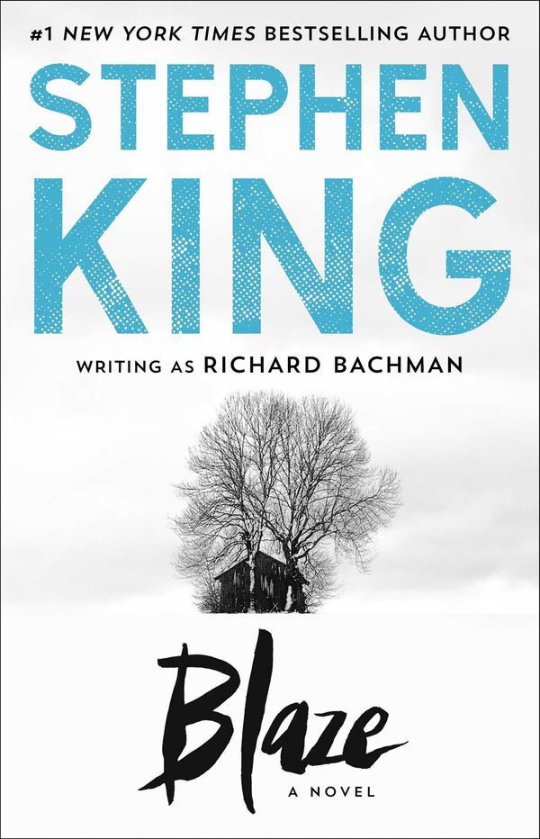 Blaze Book Cover