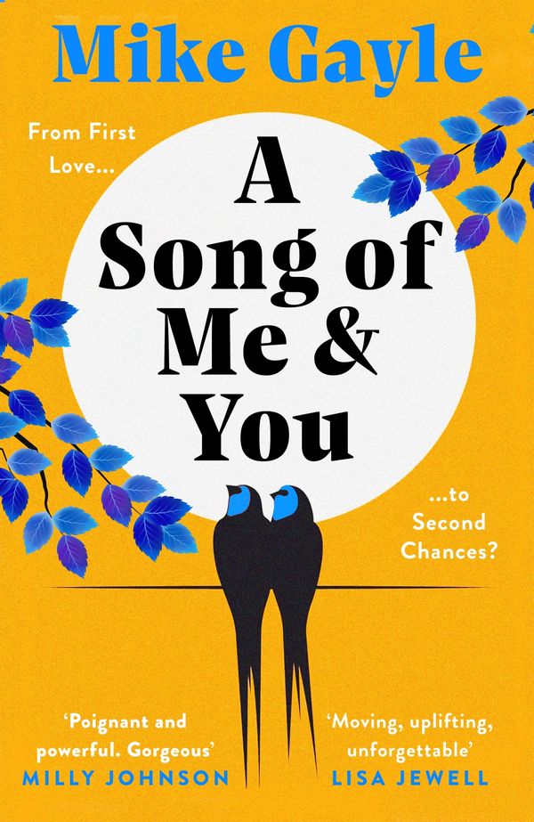 A Song of Me and You Book Cover