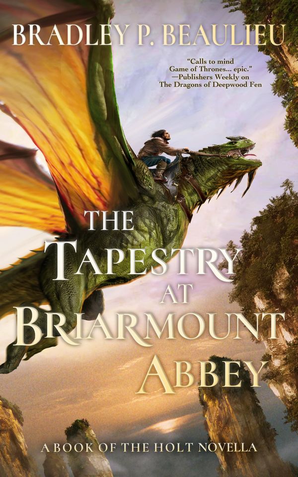 The Tapestry at Briarmount Abbey Book Cover