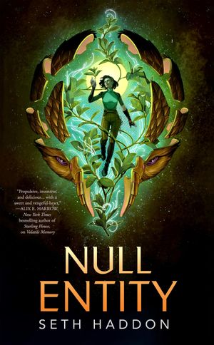 Null Entity