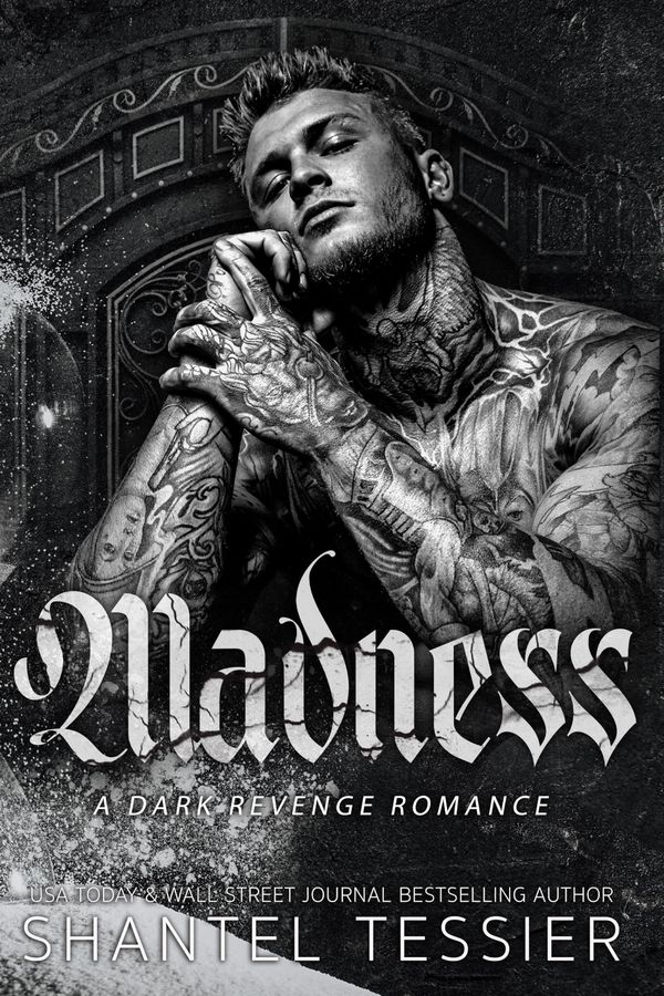 Madness Book Cover