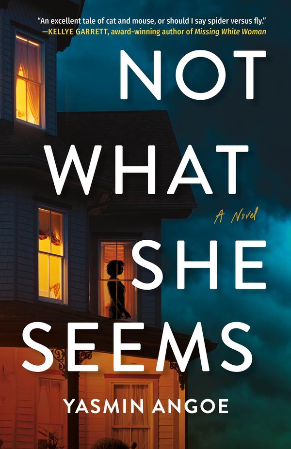 Not What She Seems Book Cover