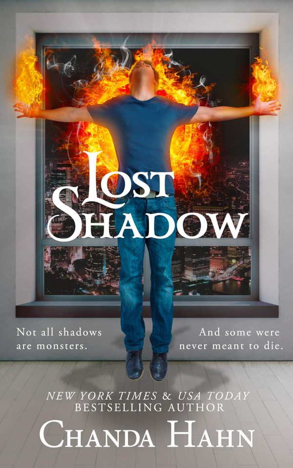 Lost Shadow Book Cover